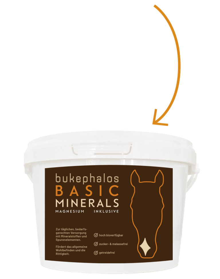 Eimer des Produkts 'Basic Minerals' von Bukephalos Minerals – Hochwertige, bioverfügbare Mineralstoffmischung zur täglichen Versorgung von Pferden.