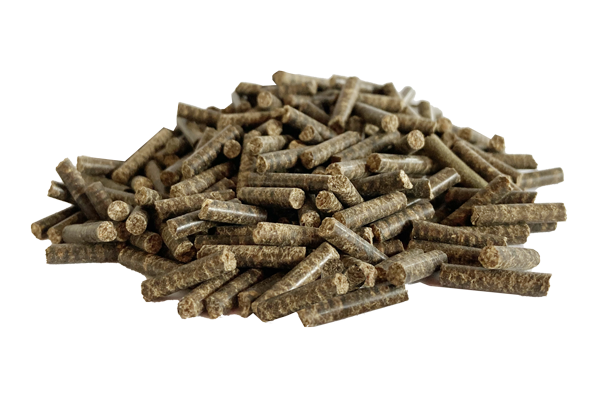 Pellets als Ergänzungsfutter für Pferde – Bukephalos Minerals bietet natürliche Mineralstoffergänzungen.